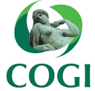 COGI - The multidisciplinary Gynecology Congress